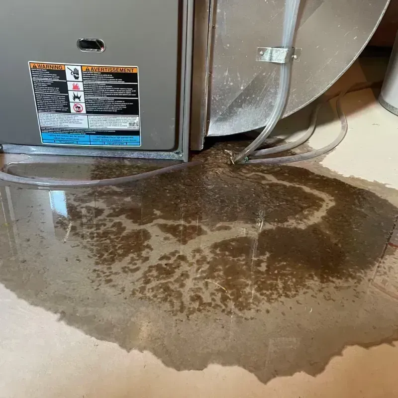 Appliance Leak Cleanup in Greensburg, KY